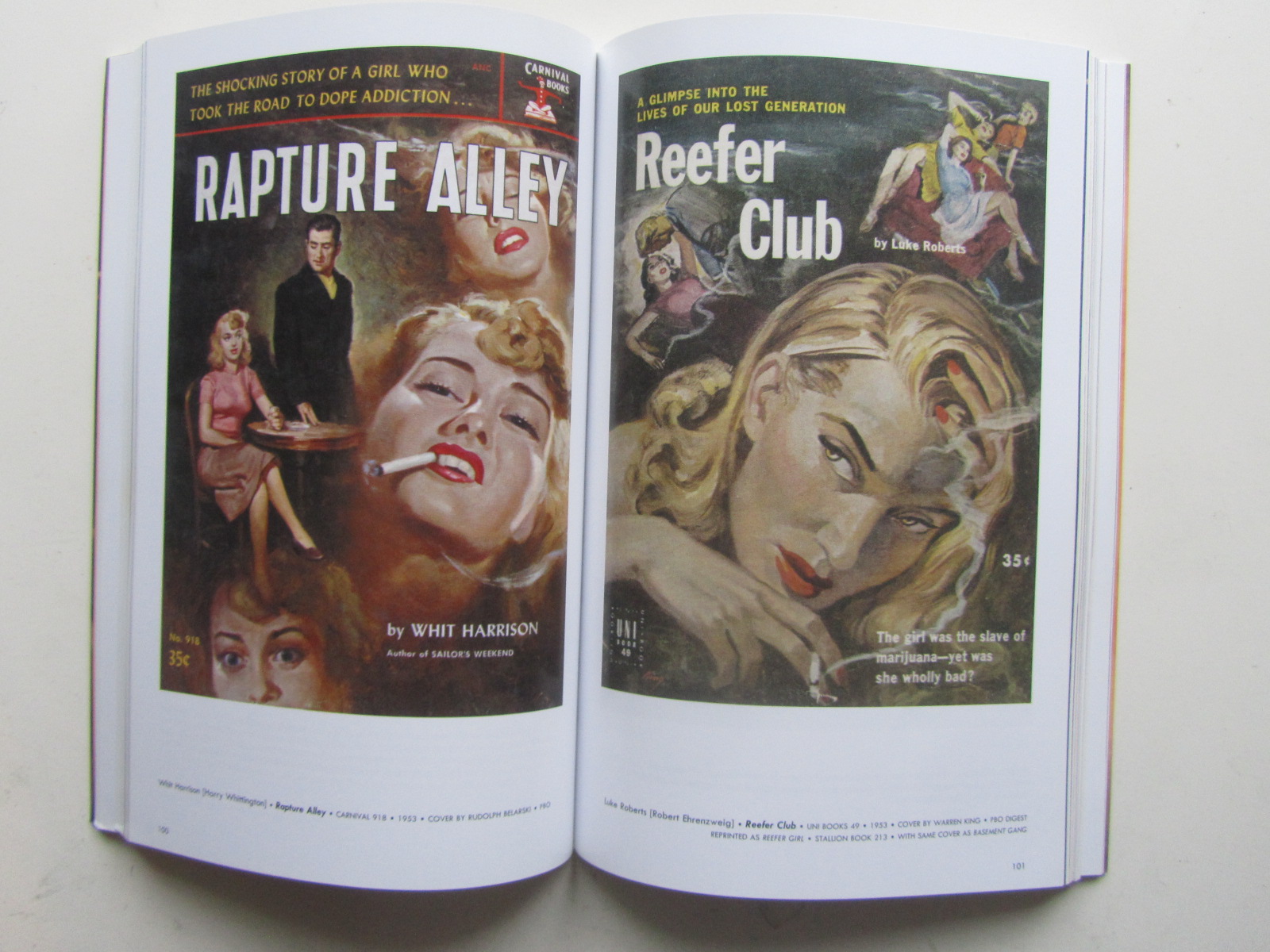 Dope Menace The Sensational World of Drug Paperbacks  - 4