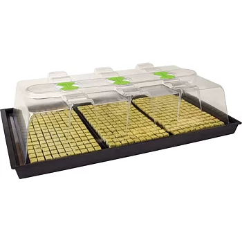 X-Stream Propagator (Unheated) – L