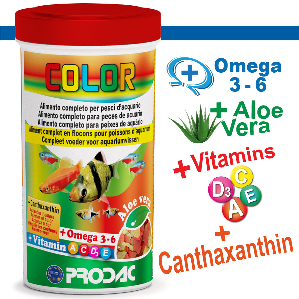 COLOR 250 ml 50 gr