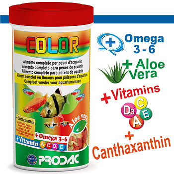 COLOR 250 ml 50 gr