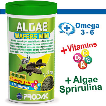 ALGA WAFER MINI 250ml 135 g