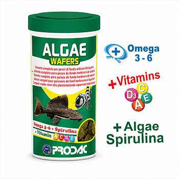 ALGAE WAFER 100 ML 50g