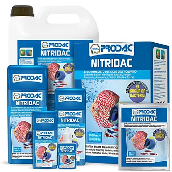 NITRIDAC 30 ML
