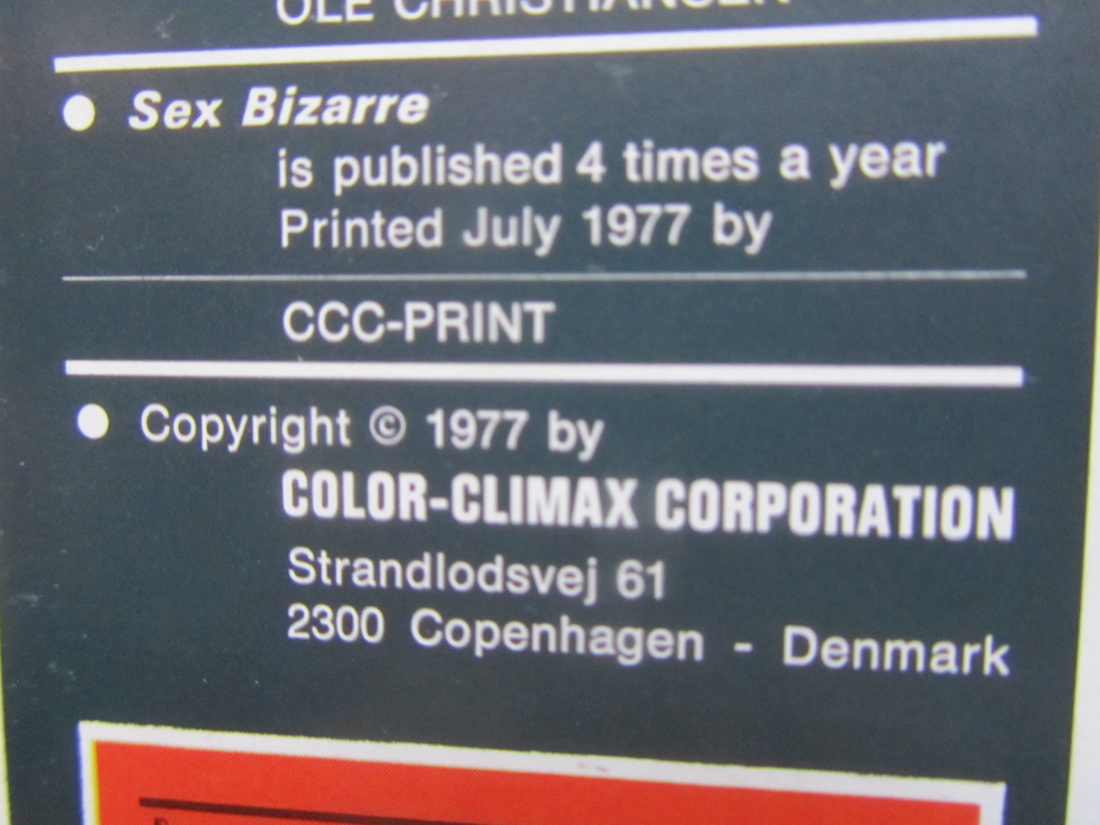 Sex Bizarre 19 - 3