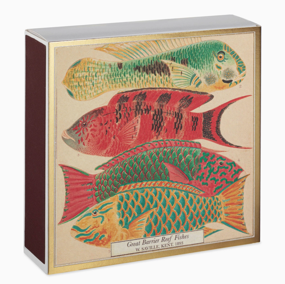 Tändstickor Archivist – FISKAR 11x11cm, 125 stickor - 2