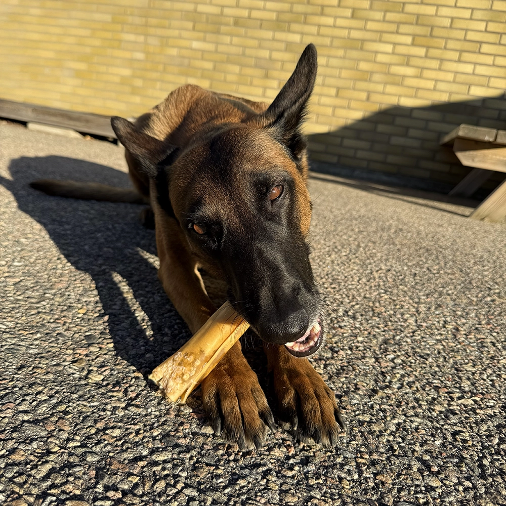 Ozami Horse-Shaped Chew Bones