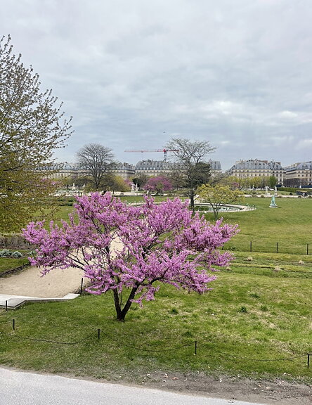 ”Paris in pink”. AKRYLTAVLA MÅLAD AV MARIA C BERNHARDSSON / MC