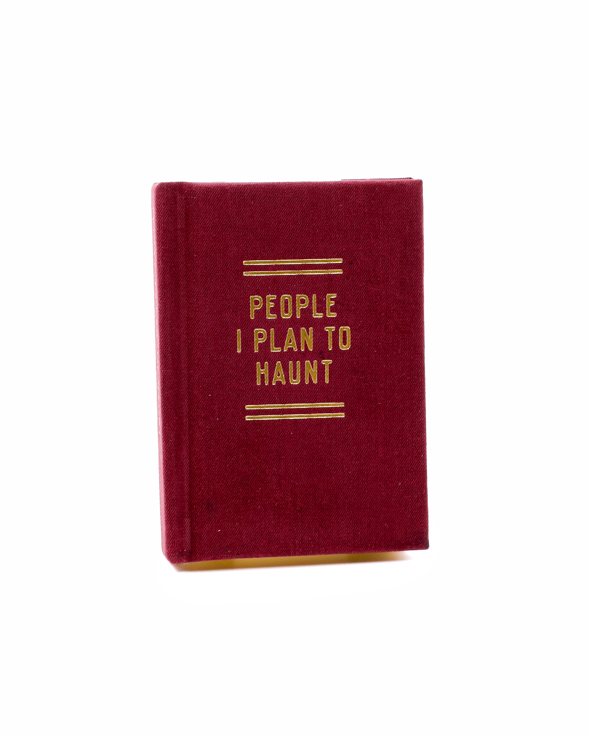 People I Plant to Haunt. Tiny Diary 