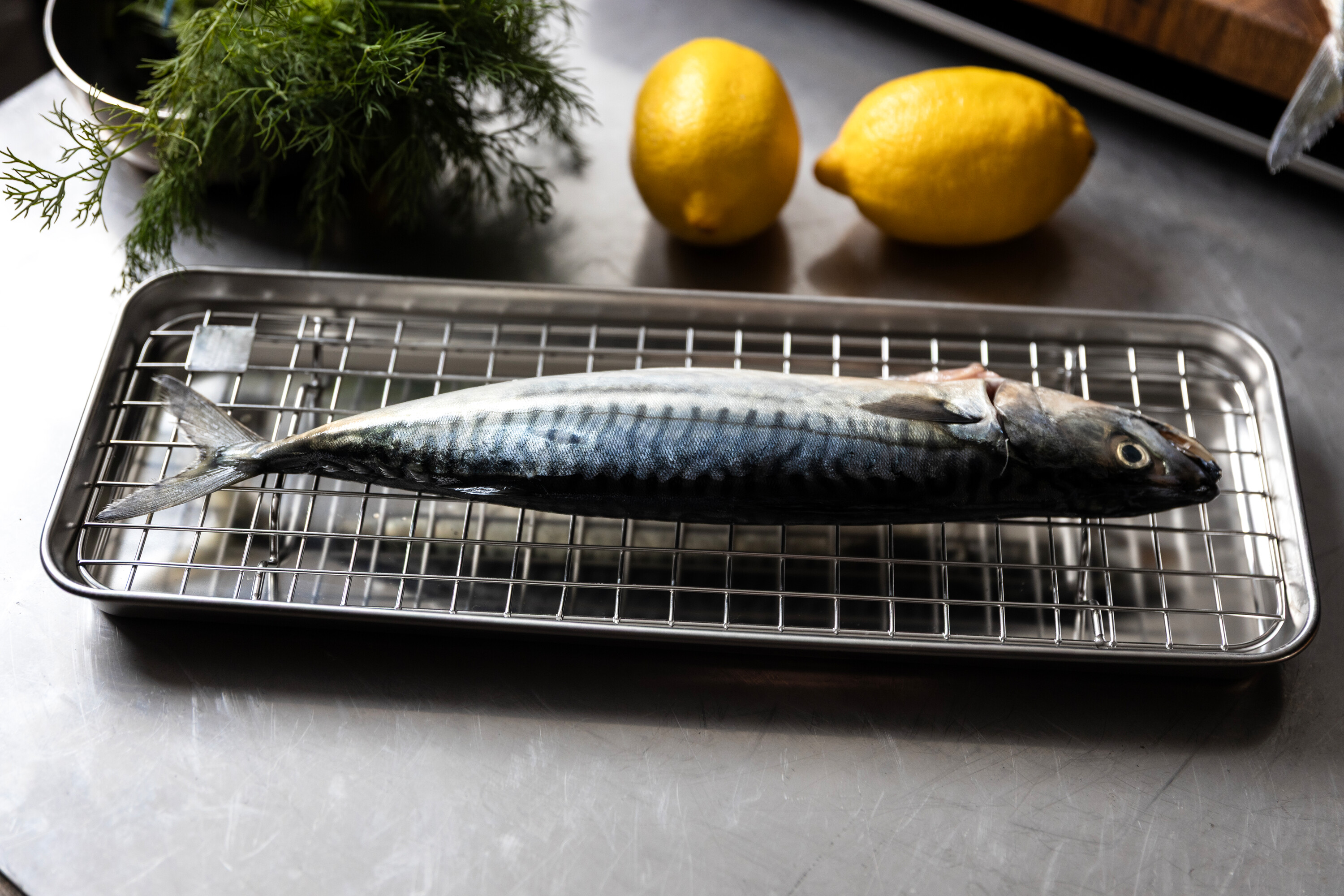 Culimat Gastrobleck Med Galler 38 x 14 Cm - 5