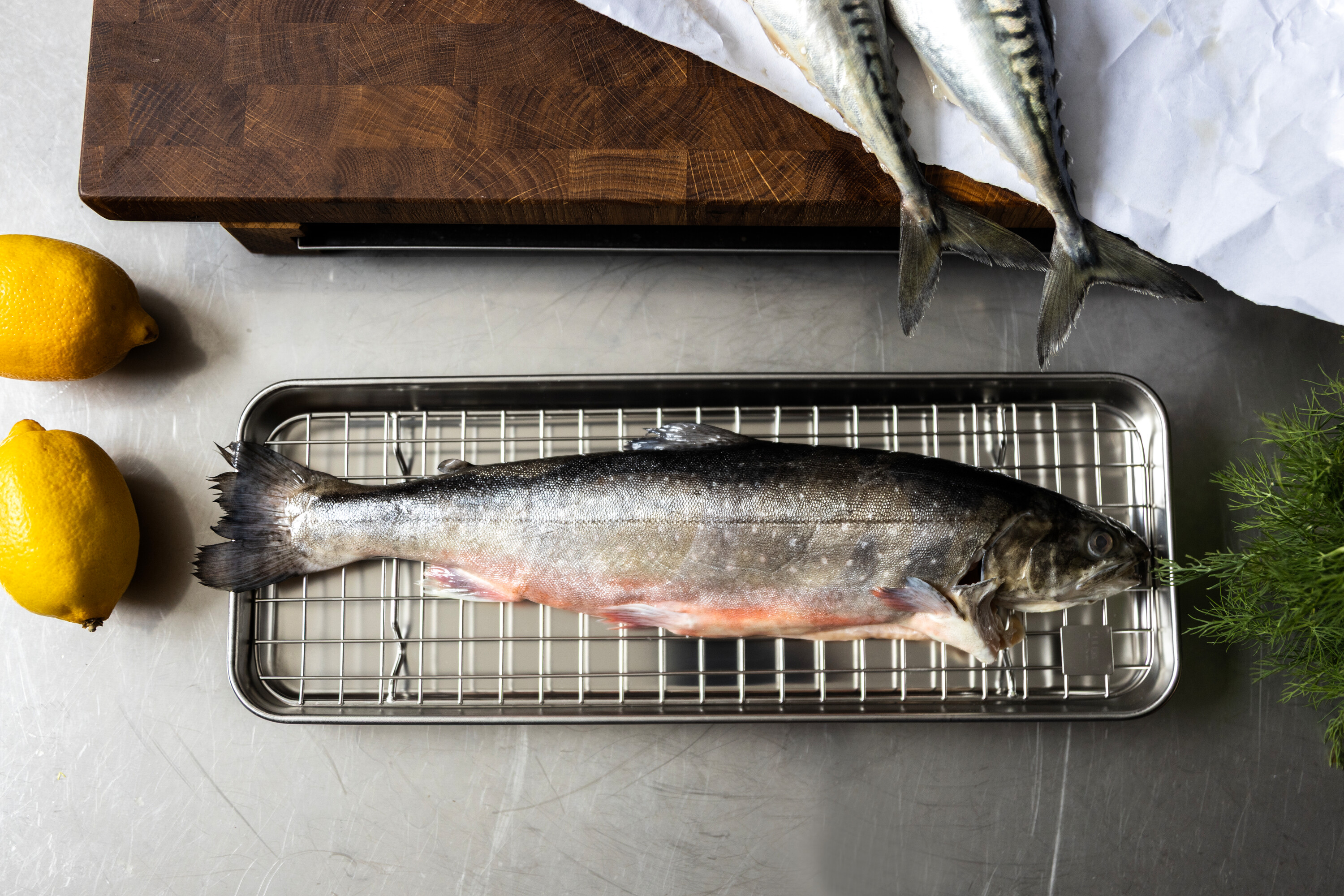 Culimat Gastrobleck Med Galler 38 x 14 Cm - 6