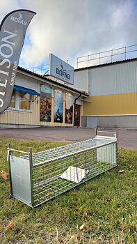 Grävlingfälla