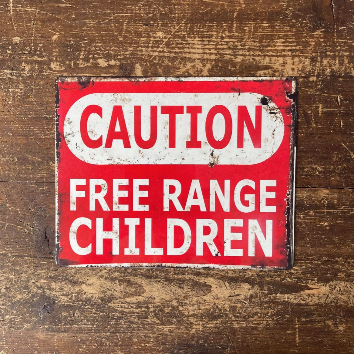 Metallskylt i vintagestil – Caution, Free Range Children 15x20cm - 3
