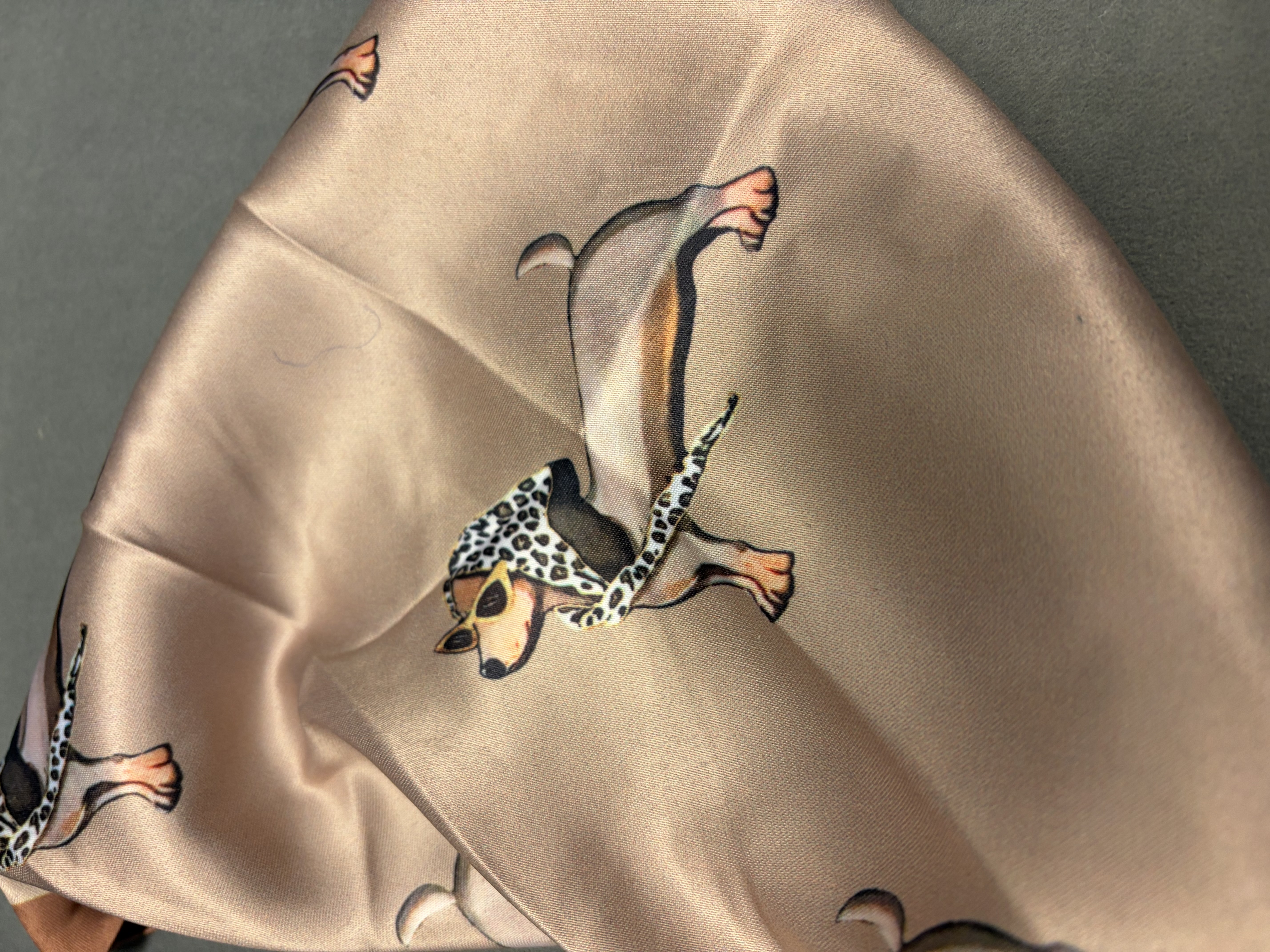 PF - Sjal Magnet Tax Beige - 2