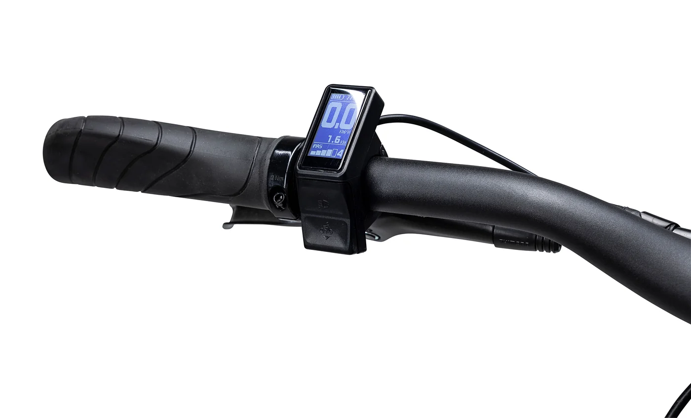 Batribike - SUV L - Bakhjulsdrift - 10