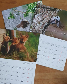Kalender 2027