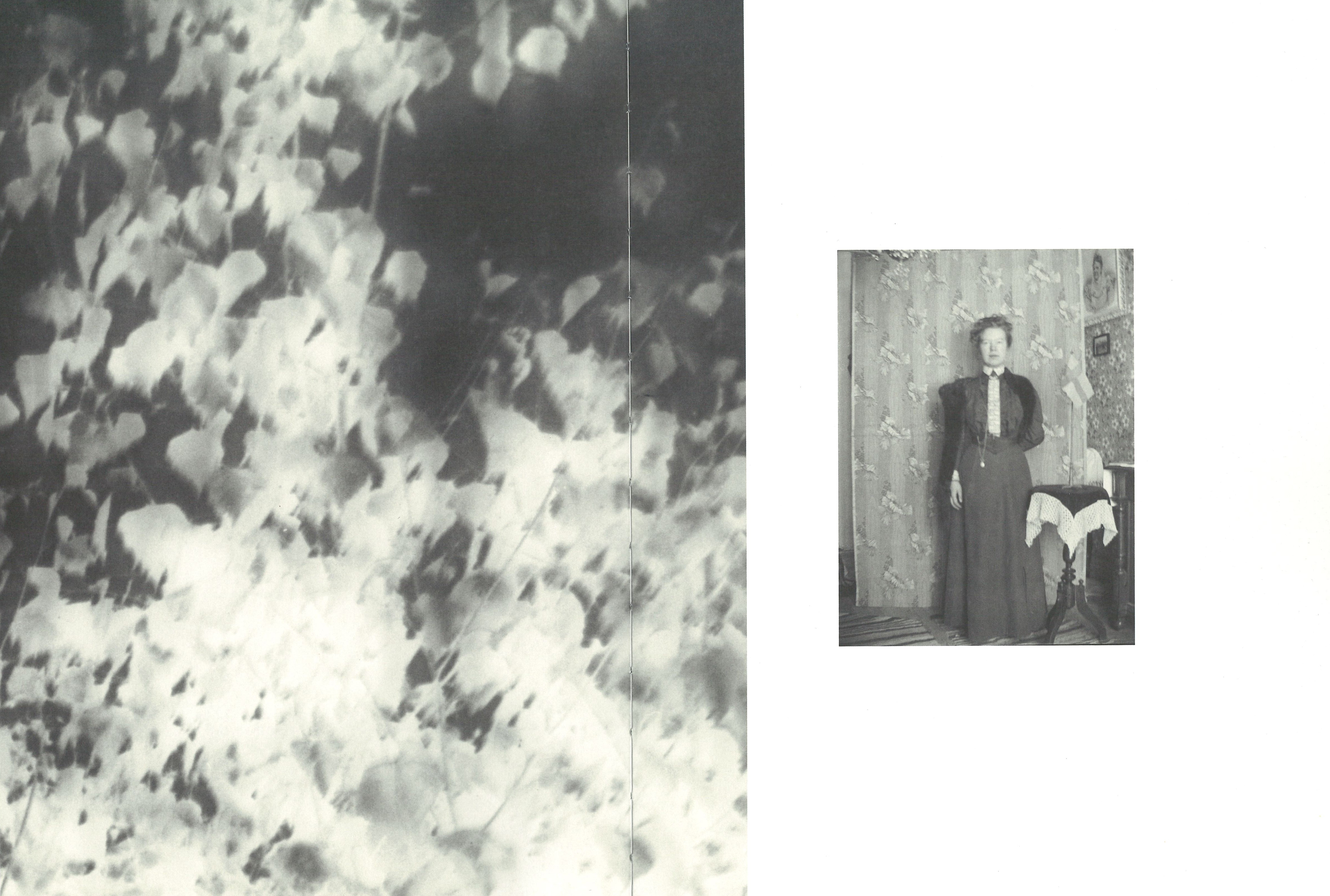 Anna Henriksson: Agnes Samling/Agnes' Collection [signed] - 2