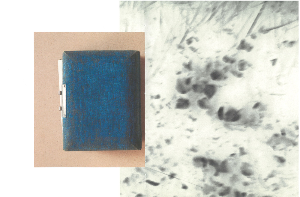 Anna Henriksson: Agnes Samling/Agnes' Collection [signed] - 5