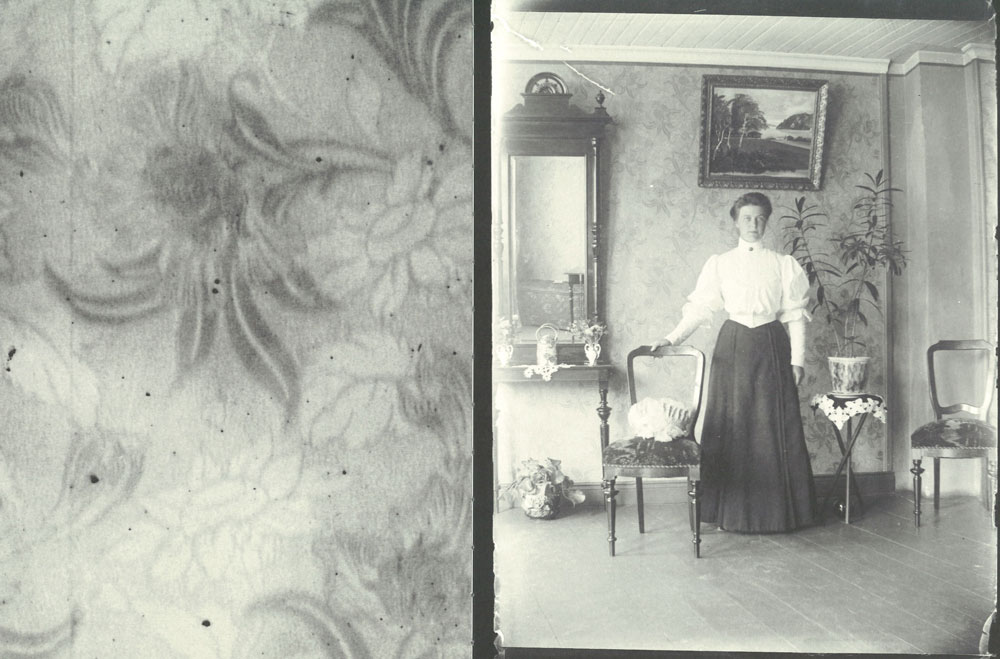 Anna Henriksson: Agnes Samling/Agnes' Collection [signed] - 6