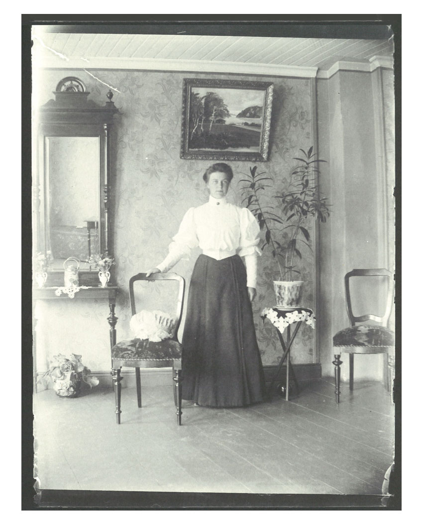 Anna Henriksson: Agnes Samling/Agnes' Collection [signed] - 8