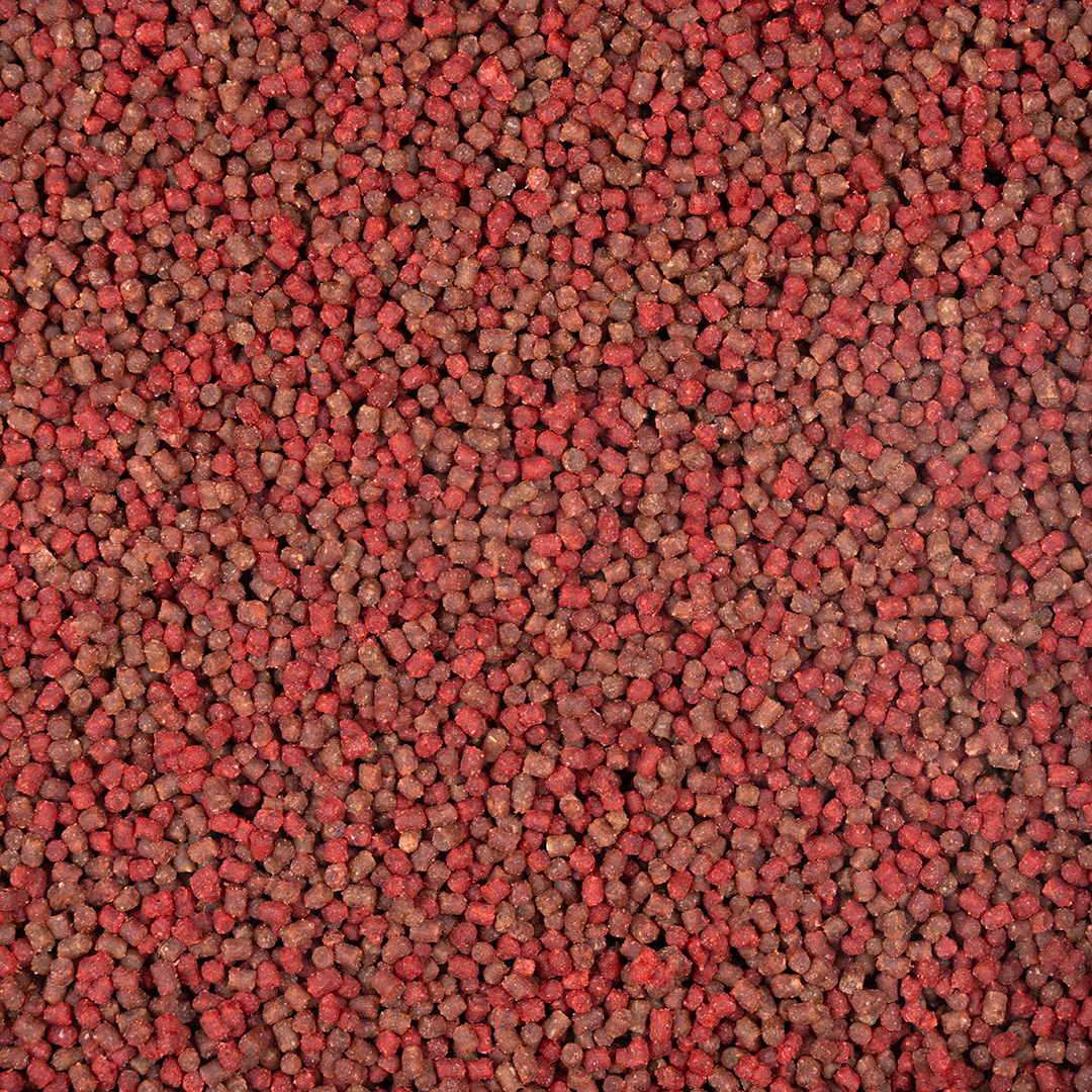 MIKADO PELLETS METHOD FEEDER - READY TO GO 2MM 500g - 5