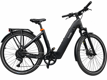 Ecoride Tripper 4 Hub, Begagnad