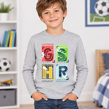 Harry Potter T-shirt Långärmad GSHR Grå