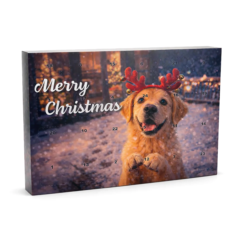 Christmas calender for the dog - 4