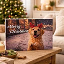 Advent Calendar for Dogs