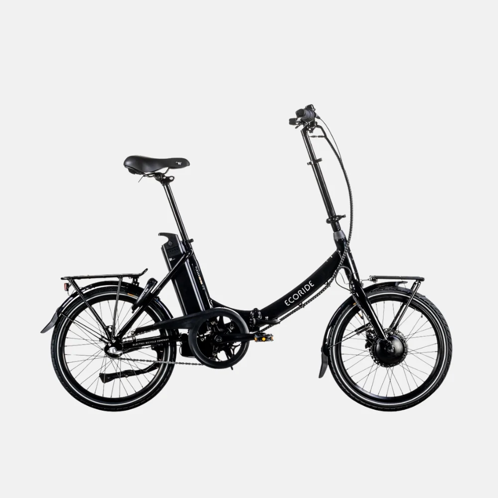 EcoRide Flexer c300