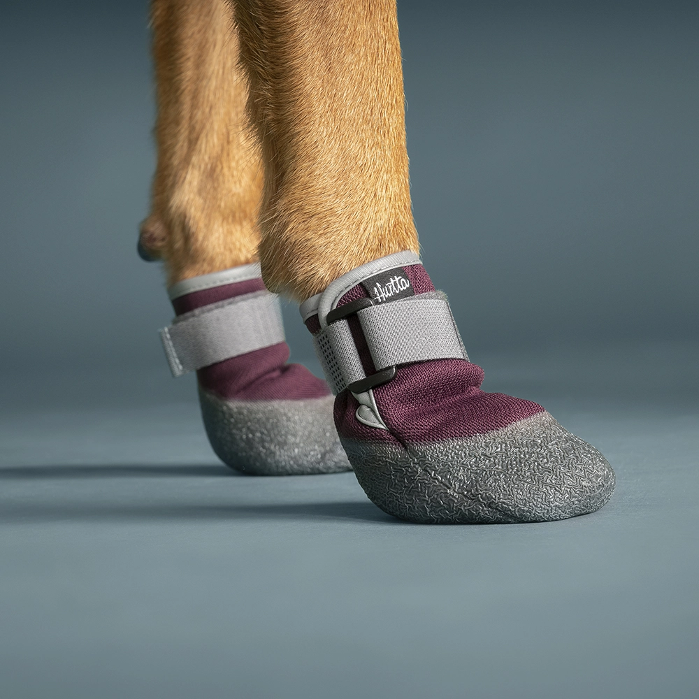 Hurtta Weekend Warrior Neoprene Dog Boots