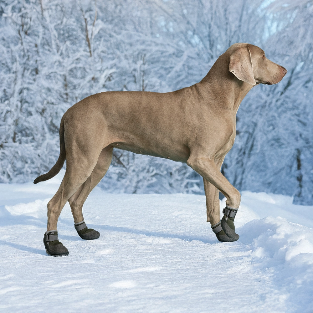 Soft Hurtta Weekend Warrior dog boots are designed to withstand temperatures as low as minus 25 degrees