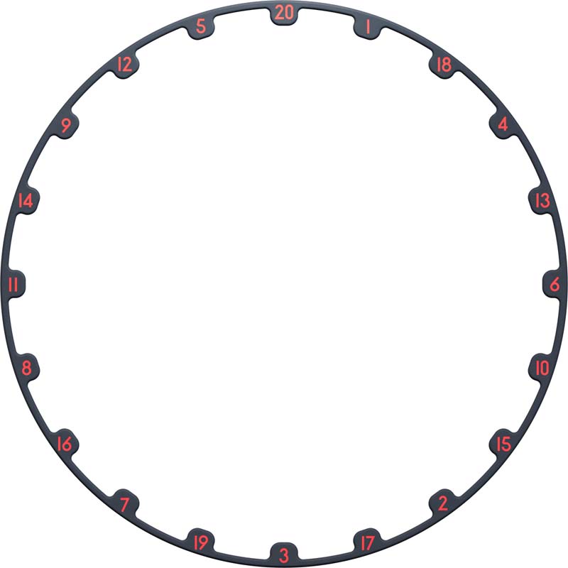 Target Dartboard Tor Evo - 11