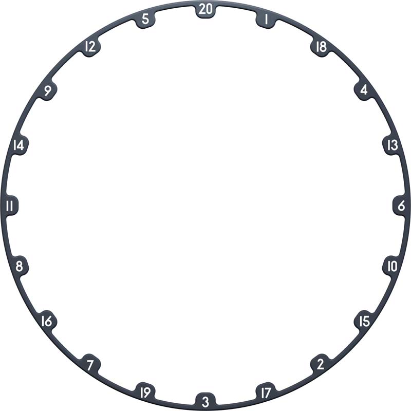 Target Dartboard Tor Evo - 12