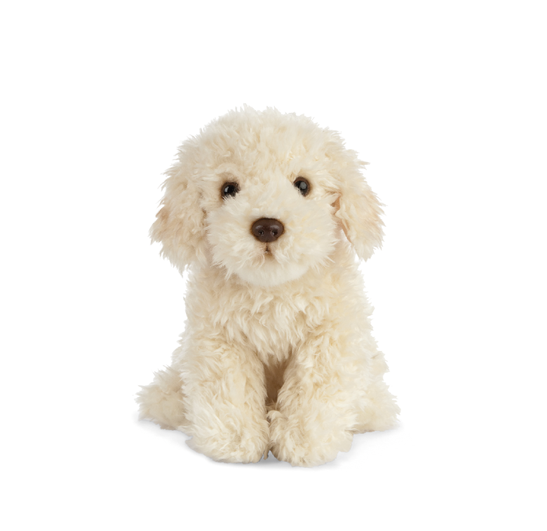 Living nature labradoodle