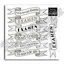 KD DPM 241 -Text, Banners Examen 