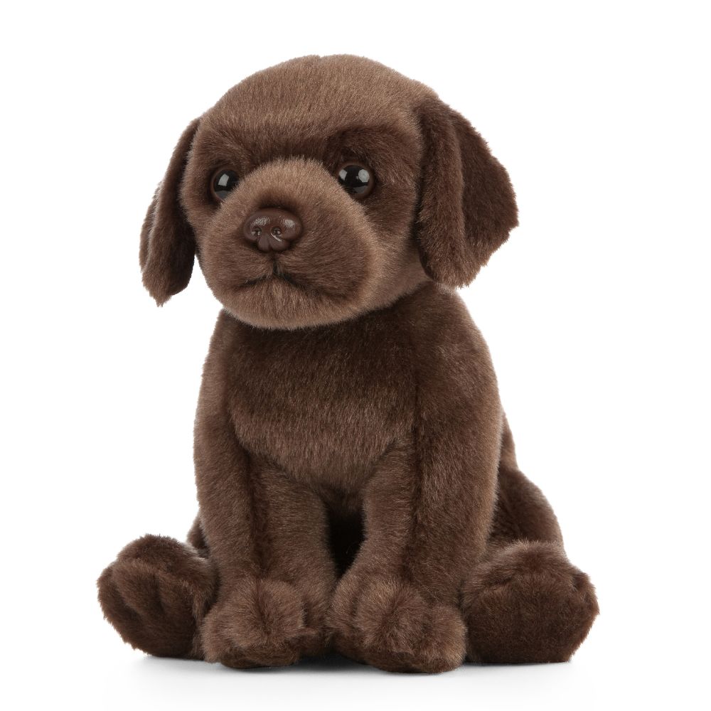 Living nature chocolate labrador puppy 18 cm - 2