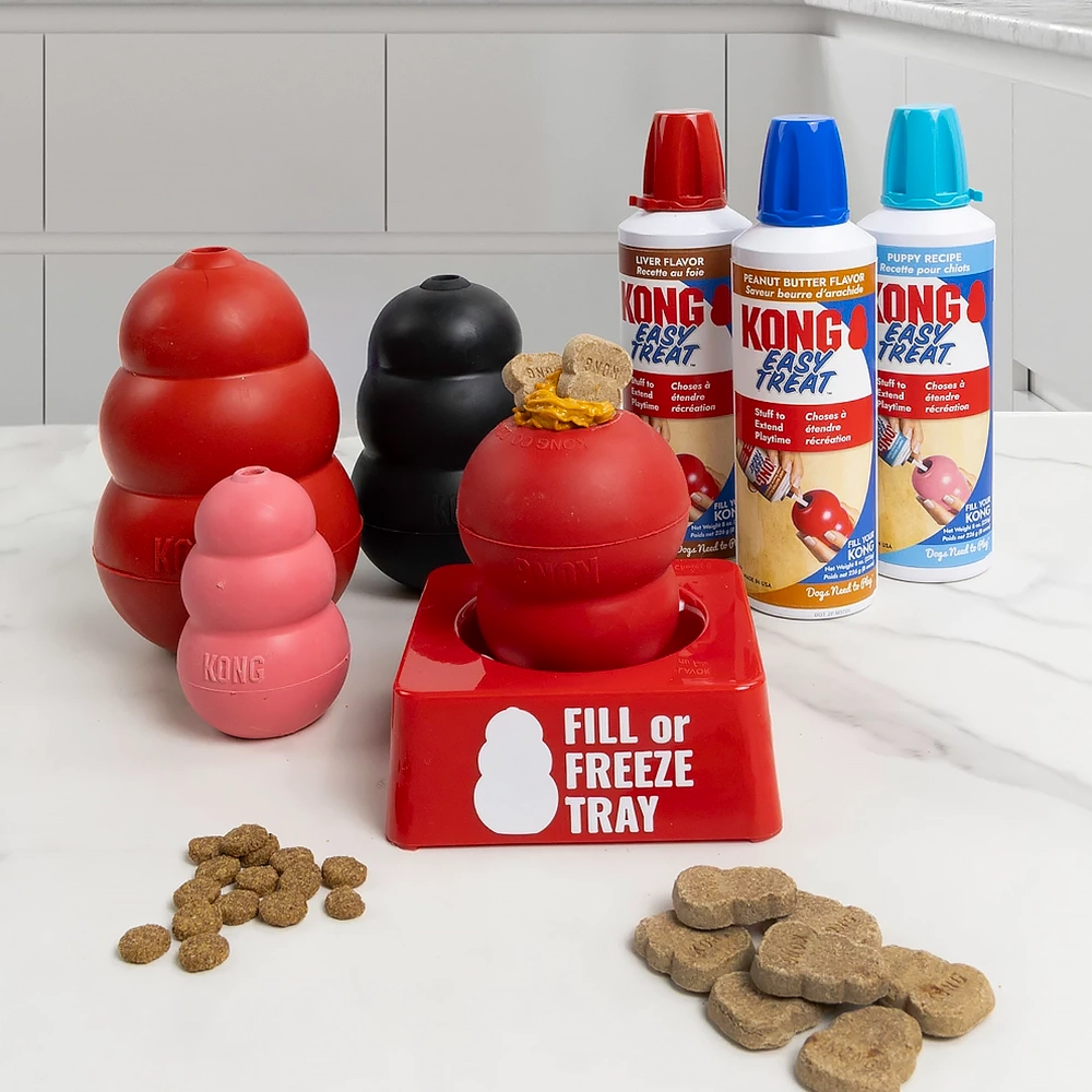 A holder that makes it easier to fill your dog's Kong with treats
