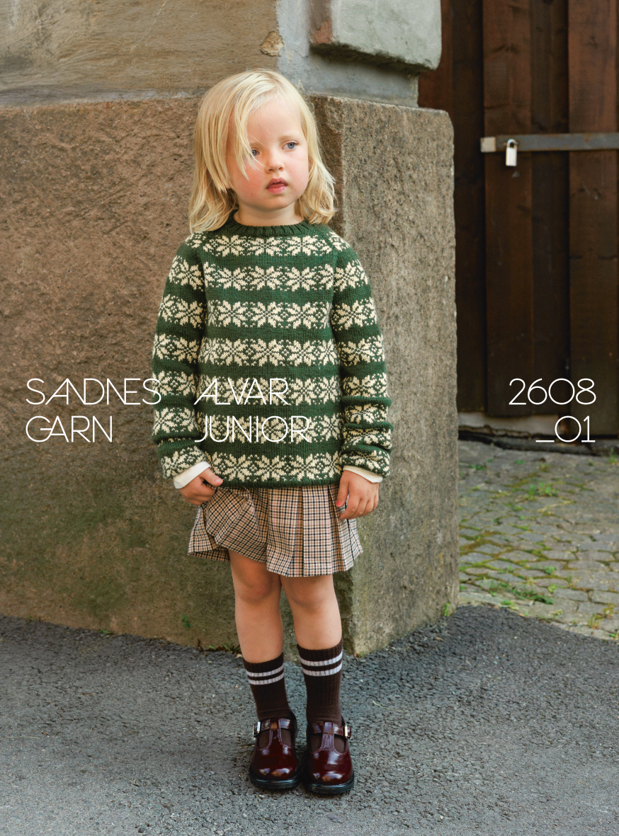 Sandnes Alvar Junior 2608_01 (2-14 år) (27 m flerfärgstick st 3)