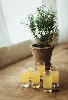 SHOTGLAS 6-pack