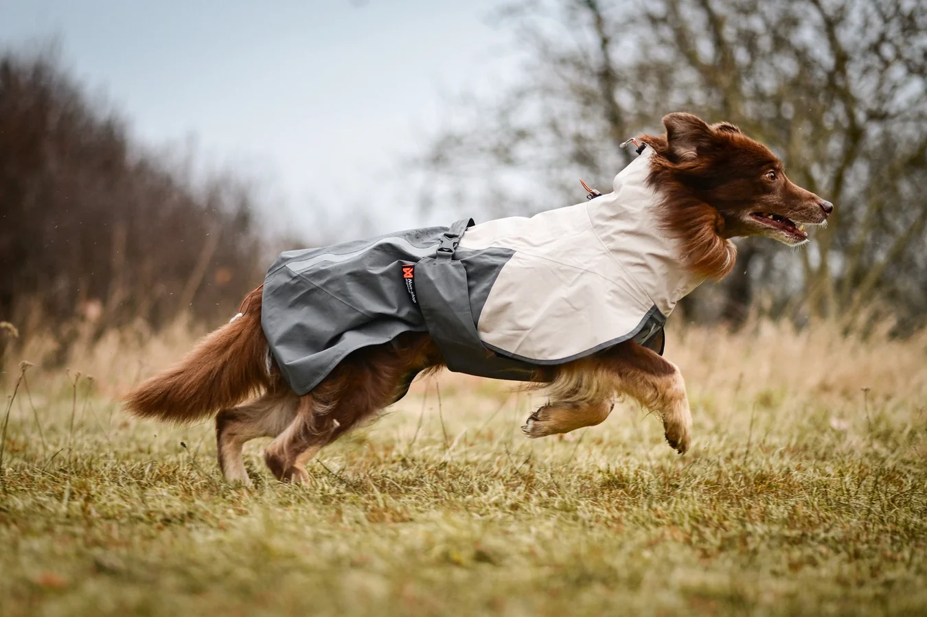 Non-stop dogwear Fjord raincoat 2.0, grå - regntäcke - 6