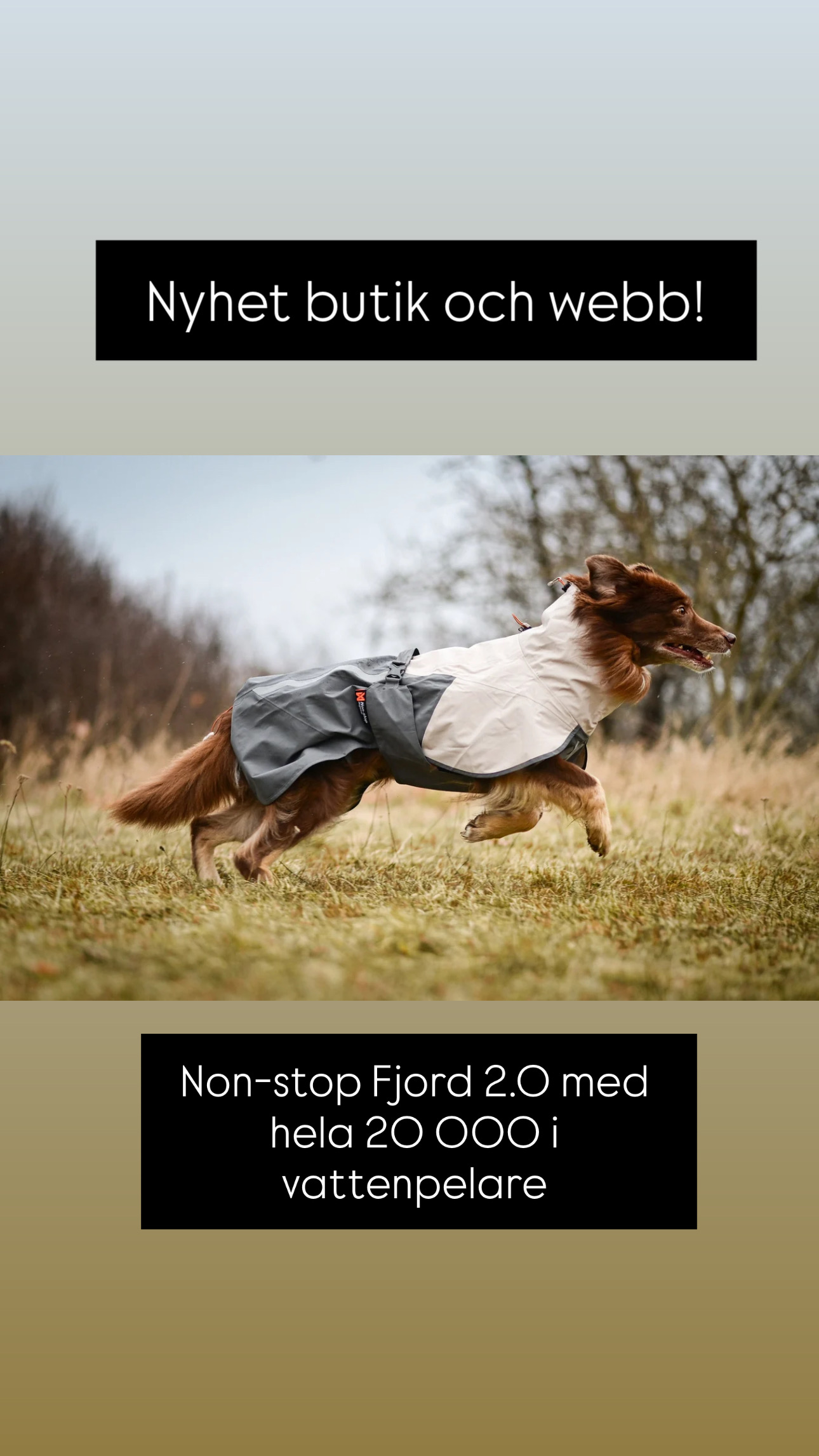Non-stop dogwear Fjord raincoat 2.0, grå - regntäcke - 3