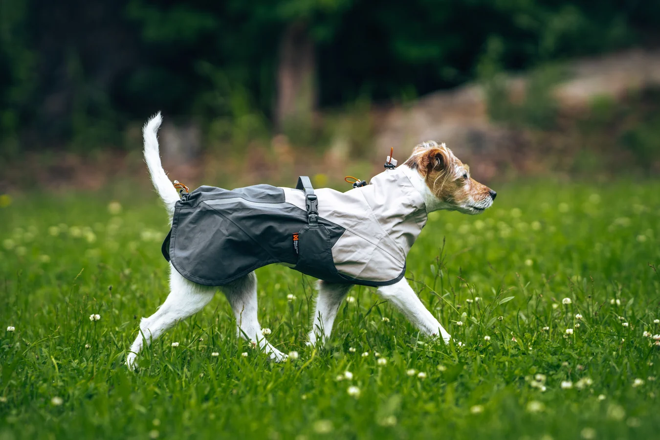 Non-stop dogwear Fjord raincoat 2.0, grå - regntäcke - 5