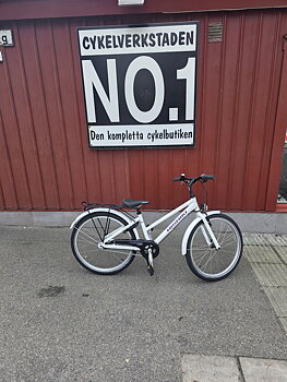 Nishiki 24"