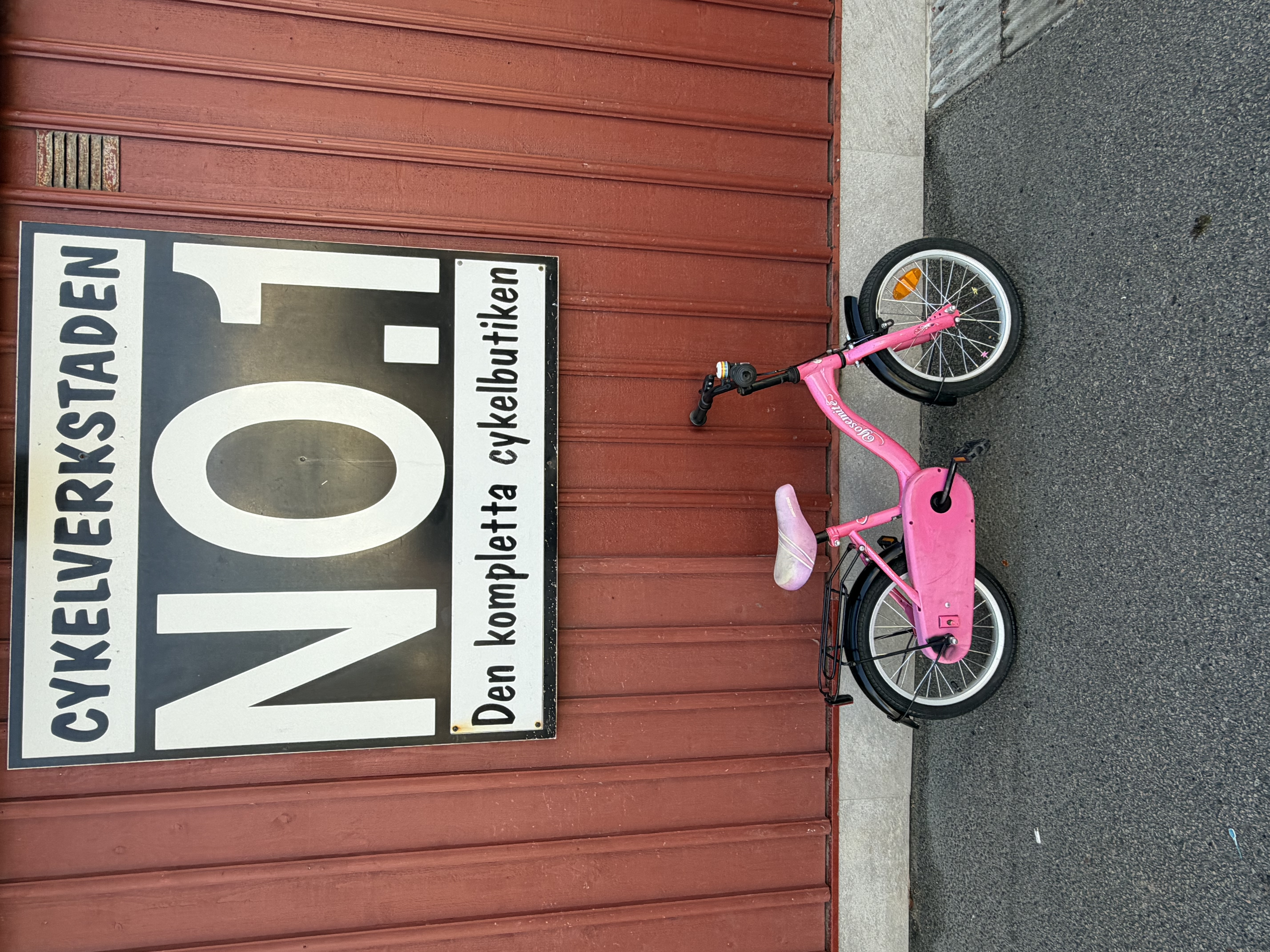 BEGAGNAD Rosa 16"