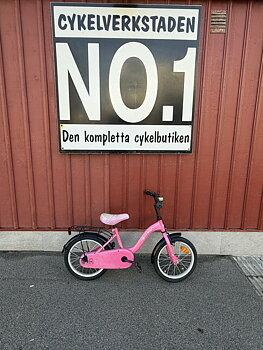 BEGAGNAD Rosa 16"