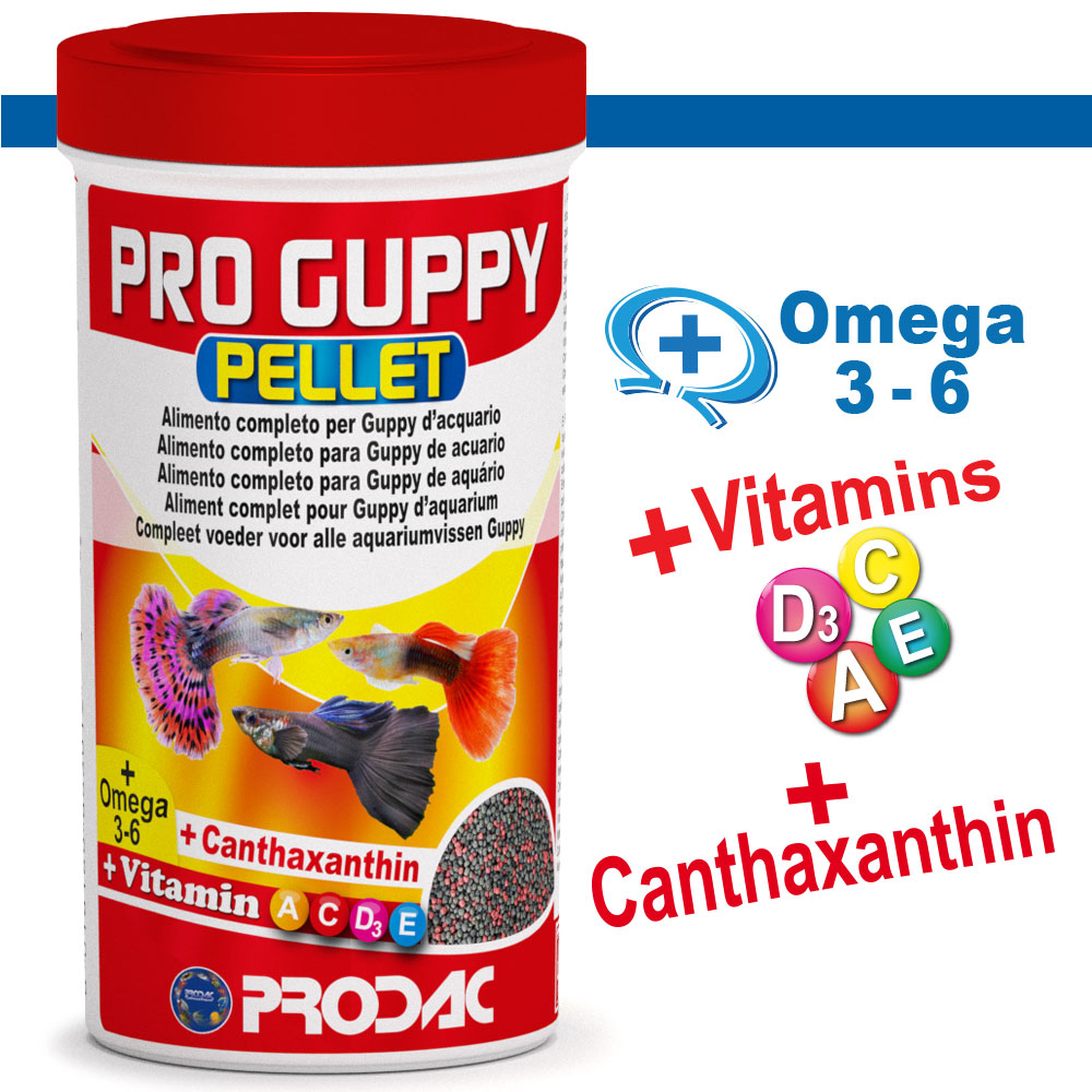 PRODAC Pro Guppy Pellets – Flytande pellets  för guppy  250ml/125g burk