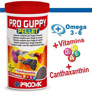 PRODAC Pro Guppy Pellets – Flytande pellets  för guppy  250ml/125g burk