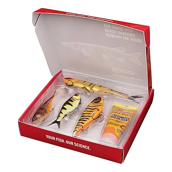 Berkley Gift box Pike