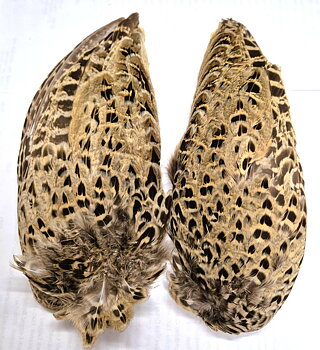 Pheasant wings - Cookshill