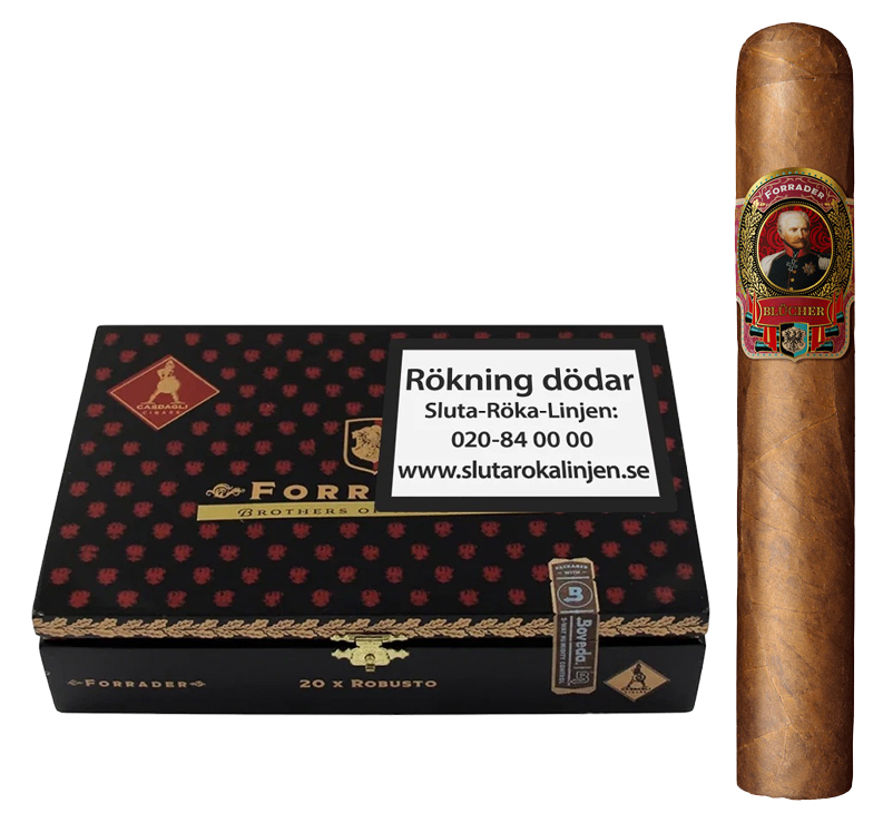 Casdagli Brothers of the Sabre Forrader Robusto - 2